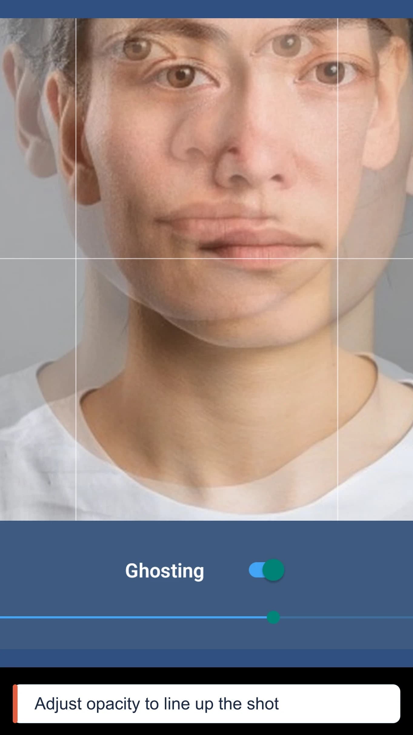 Perfect Photo ghost image overlay — before photo ghosted over the live camera with gridlines and an opacity slider